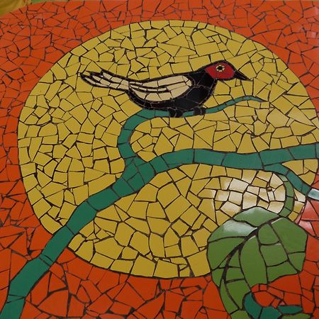 Espaco Nova Era Pousada Jijoca de Jericoacoara Ngoại thất bức ảnh